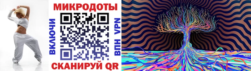 Псилоцибиновые грибы Psilocybe  Приморск 